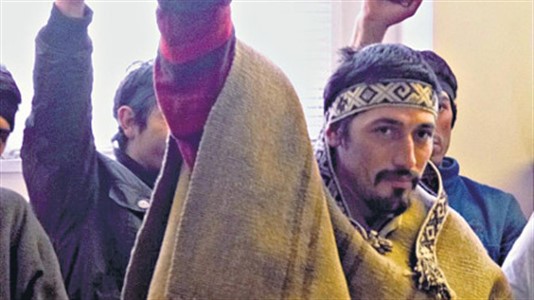 Lenton: "Es un error decir que los mapuches son chilenos". (Foto: Prensa Indígena)