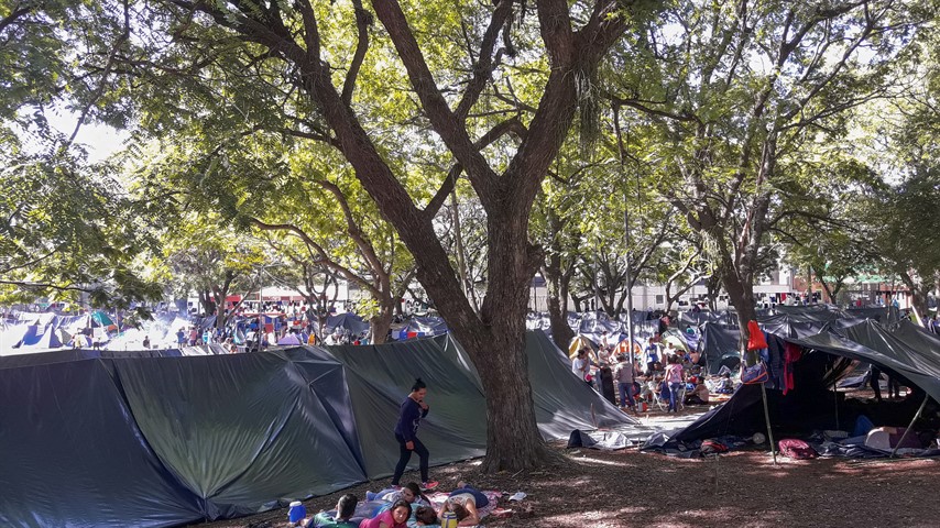 Miles de familias de indígenas y campesinos acampan en el parque. 