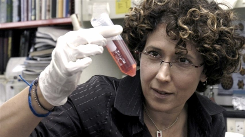 La viróloga Andrea Gamarnik ha realizado múltiples aportes frente a la pandemia.