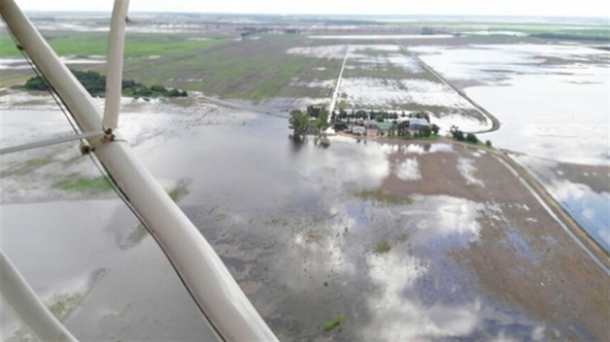La situación del campo por las inundaciones es muy complicada en la provincia. 